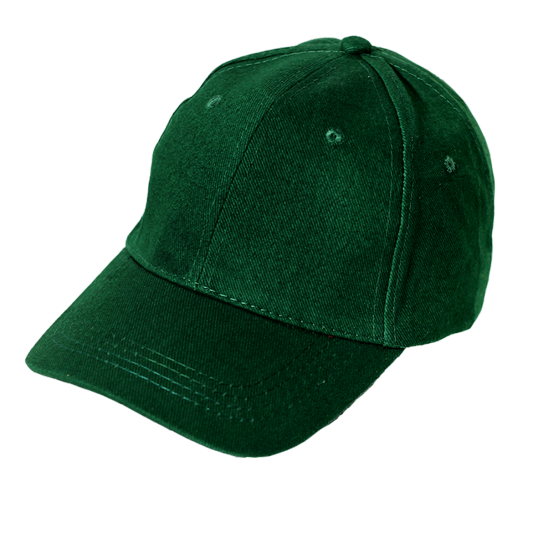 ירוק בקבוק כובע מ6 פאנל