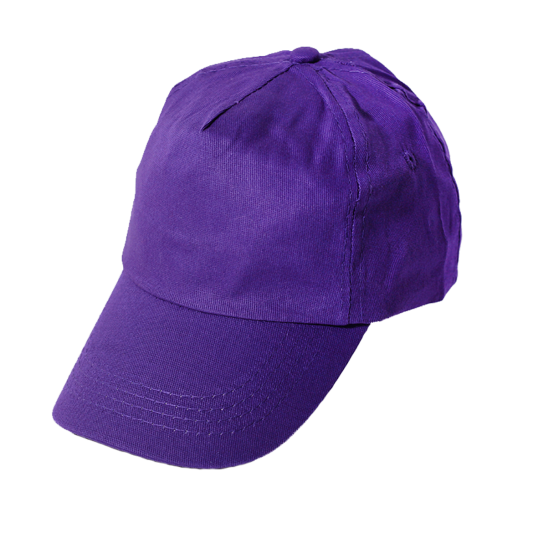 כובע 5 פאנל מסגול